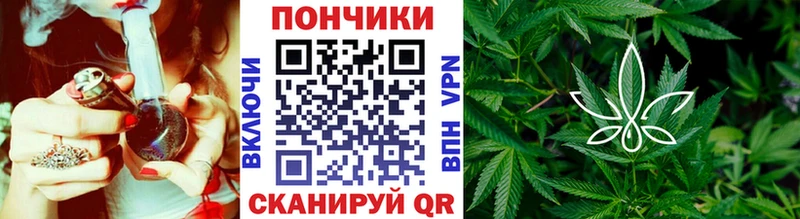 OMG Бобров Бошки марихуана план наркота